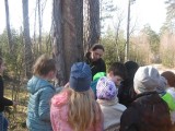 Uczniowie z Osięcin poszli w las... [zdjęcia]