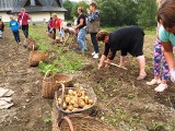 Bogdanówka. Tuka, czyli solidna praca, a po niej zabawa