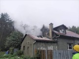 Pożar domu jednorodzinnego w Szkocji pod Bydgoszczą. Duże straty [zdjęcia]