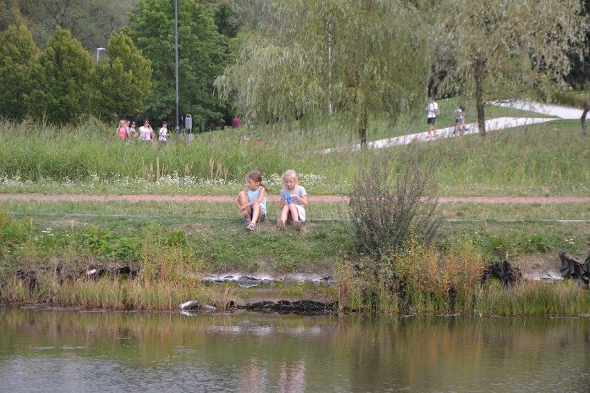 Park Cegielnia w Żorach i jego nowe atrakcje