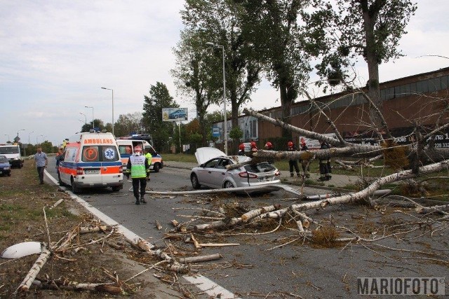 W wypadku zniszczony został też ford mondeo.