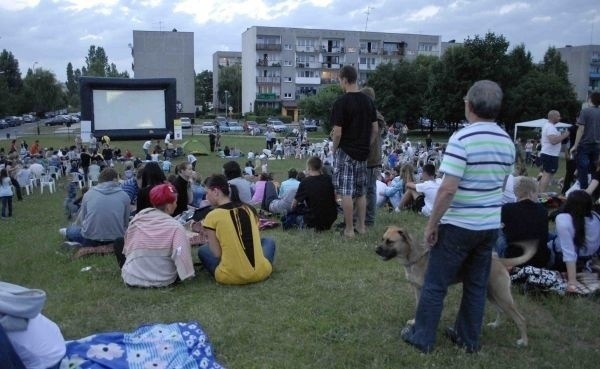 Wszystkie projekcje są za darmo i bez konieczności...