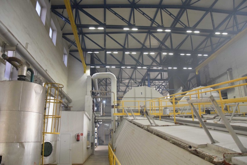 Fabryka cukru od środka! Kampania cukrownicza w fabryce w Malborku. W tym roku przerobią ponad 800 tys. ton buraka cukrowego