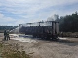 Pożar naczepy na drodze drodze krajowej 74 w Żarnowie. Naczepa spaliła się doszczętnie!