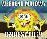 Weekend majowy tuż-tuż. Jaki będzie? Na pewno wesoły. Oto najlepsze majówkowe memy!