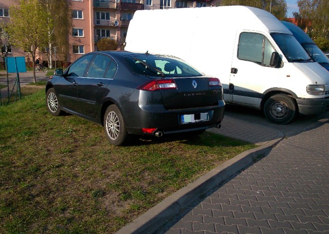 Autodrań zaparkował na trawniku w Zielonej Górze.