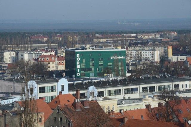 Biblioteka Norwida zaprasza na ciekawe zajęcia