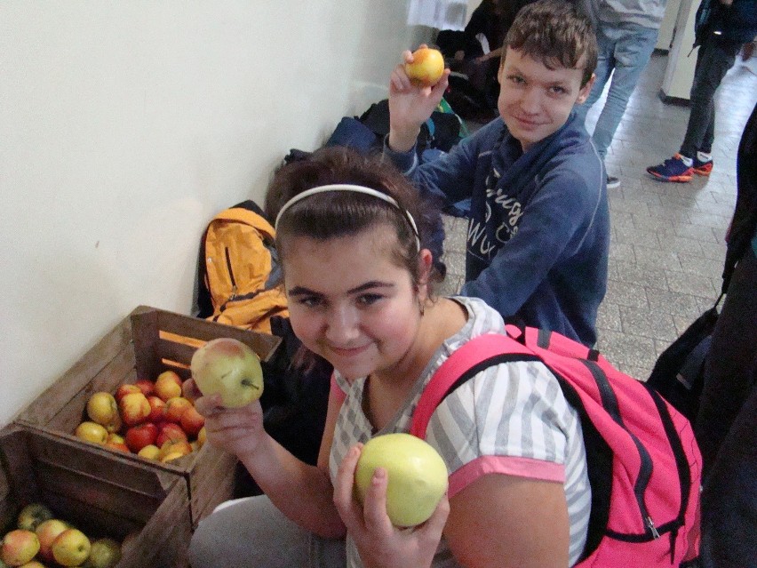 Gimnazjum w Słubicach otrzymało 3 tony jabłek, które z...