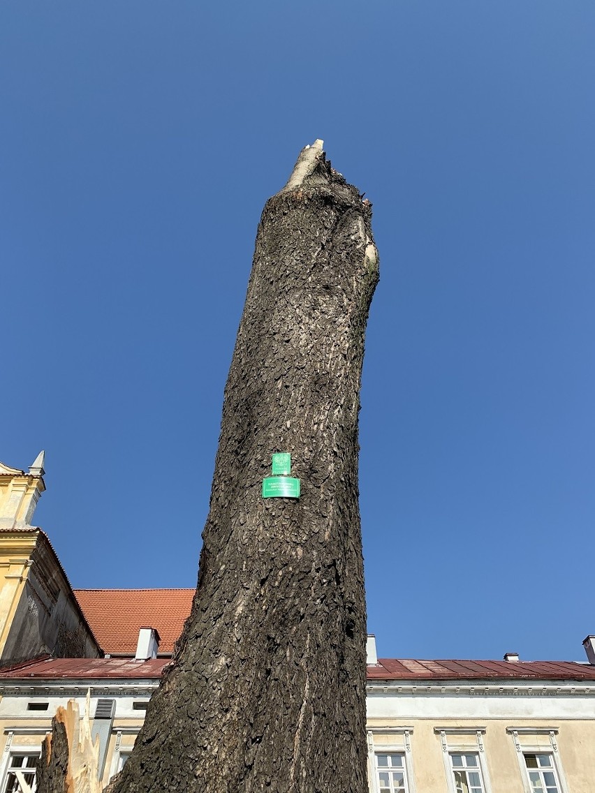 Straty po burzy w Lublinie. Najgorzej w Śródmieściu. Nawałnica uszkodziła drzewa, dachy i sygnalizacje świetlną