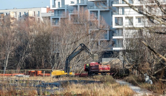 Ponownie ruszyły prace przy odmulaniu Wisłoka w Rzeszowie. Nowy wykonawca od kilku dni wywozi pozostawiony na brzegu namuł, a w przyszłym tygodniu zacznie się oczyszczanie dna.