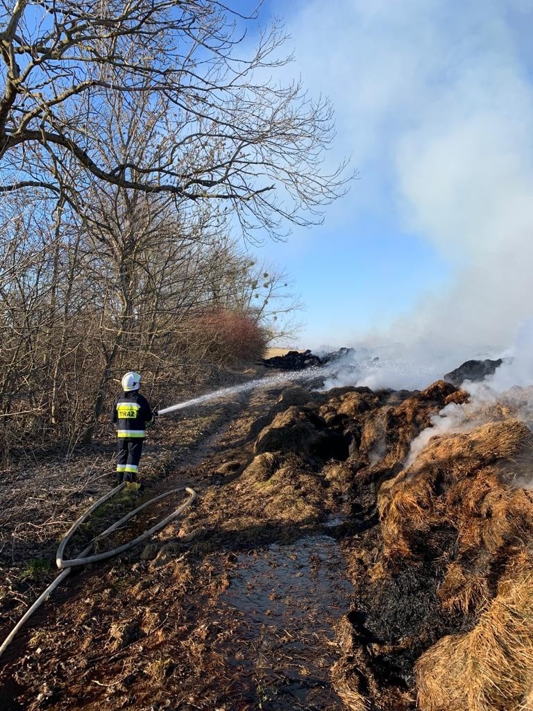 Marcinowo. Pożar bel siana. 21 strażaków przez kilka godzin walczyło z ogniem. Potrzebny był sprzęt ciężki [ZDJĘCIA] 