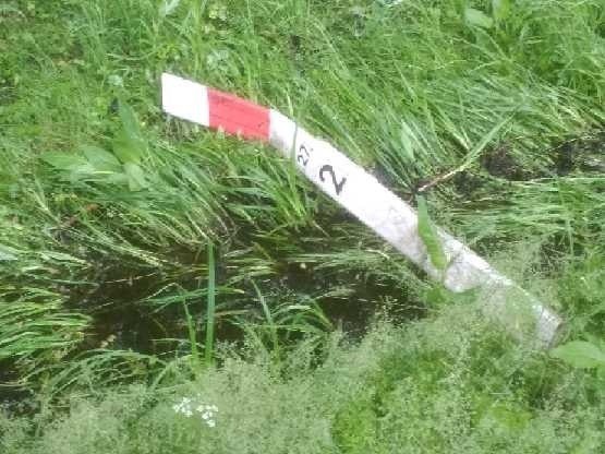 Kolizja koło Trzebielina na drodze krajowej nr 21. Samochód...