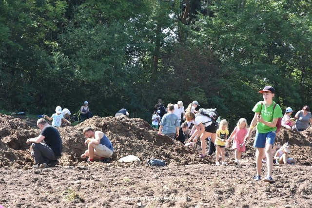 Wykopki Agatowe na polach wzgórza wulkanicznego w Rudnie