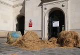 Warszawa: Protest AGROunii. Zablokowano Ministerstwo Rolnictwa [ZDJĘCIA] "Stamtąd się dzisiaj nie wyjdzie, tam się dzisiaj nie wejdzie"