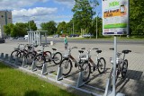 Rusza wypożyczanie miejskich rowerów w Stalowej Woli. Ważna higiena