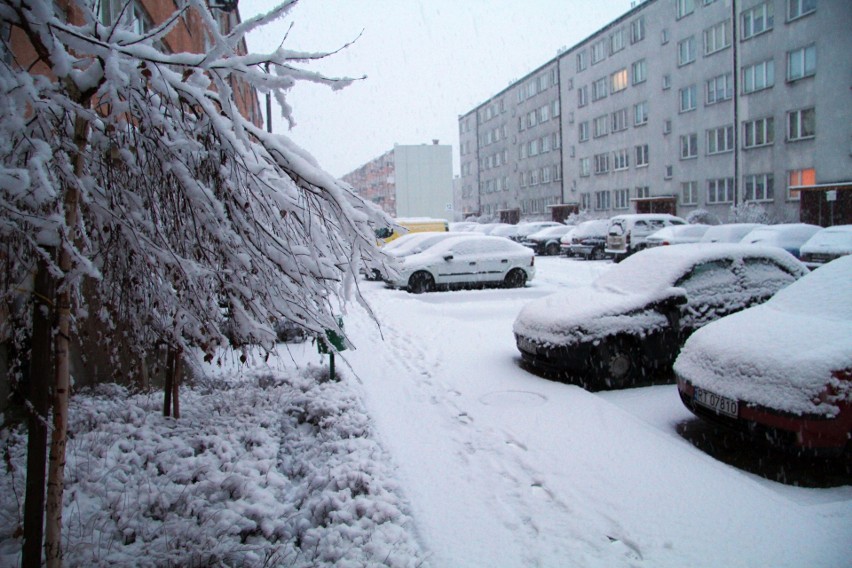 Niż "Lars" nadciąga nad Tarnobrzeg. Znowu jest biało. Zobaczcie zdjęcia centrum miasta (ZDJĘCIA)