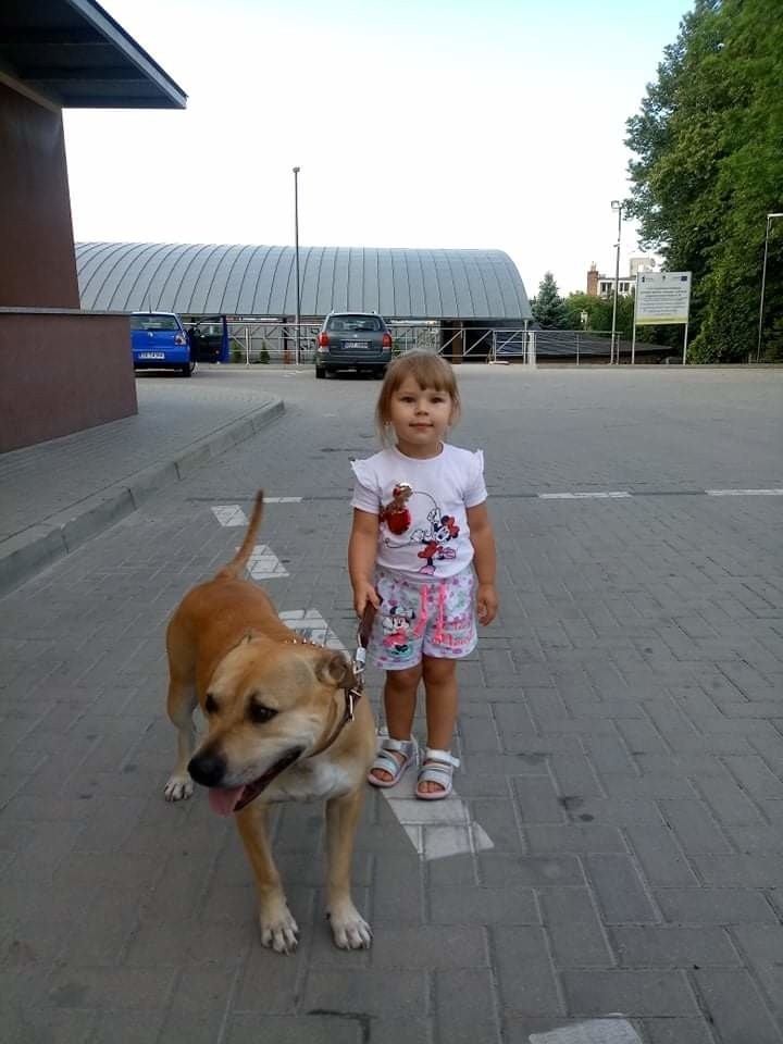 UŚMIECH DZIECKA| Natalia Szpernal kocha zwierzęta. Dziewczynka ma najpiękniejszy uśmiech w powiecie opatowskim!