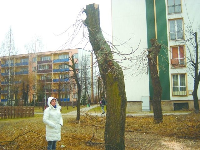 Wygląda to okropnie- denerwuje się Danuta Grabarczyk. Na jej osiedlu pracownicy SM Kolejarz przycięli drzewa. Pozostawili tylko gołe kolumny pni. Nie wygląda to najlepiej.