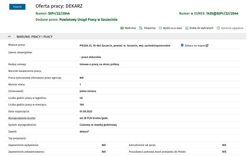 Praca w Szczecinie i regionie. Kogo poszukują pracodawcy? Ile można zarobić? Zobacz oferty pracy z Powiatowego Urzędu Pracy