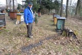 Sąsiedzki konflikt o pszczoły w Suchedniowie. Właściciel pasieki zamontował kamery
