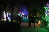 Park Lumina wraca do Lublina - zobacz, jak Lubelacy bawili się tam w zeszłym roku [ZDJĘCIA]