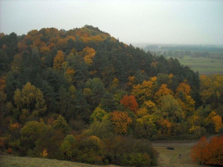 Jesień w pradolinie Wisły - przez Górę św. Wawrzyńca [zobacz zdjęcia]