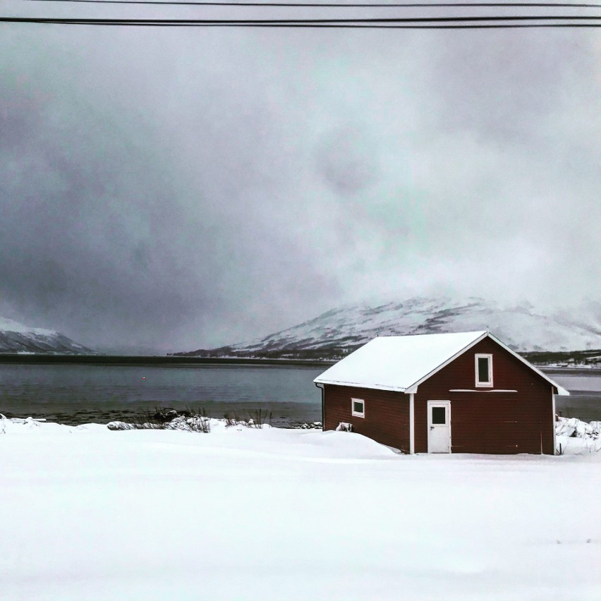 "Zęby czasem oklejał śnieg, za koszulą był grad".  Witold Orcholski pobiegł w Półmaratonie Nocy Polarnej w Tromsø