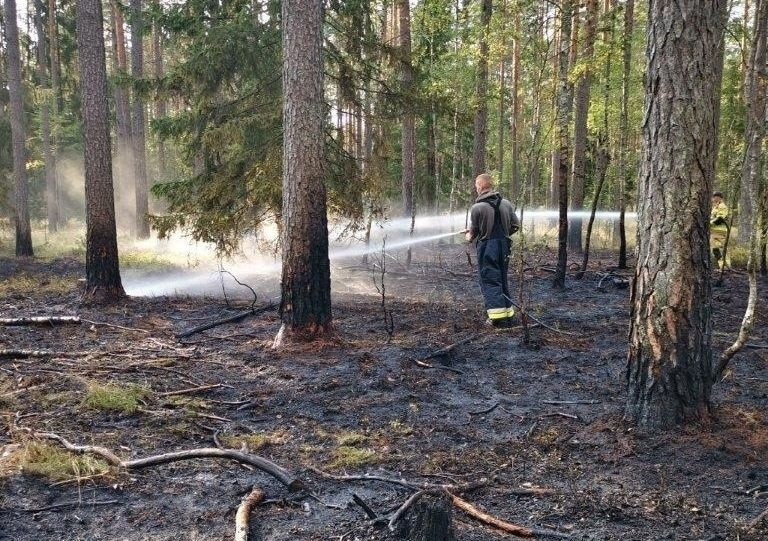 Nadleśnictwo Szczebra. Susza nie odpuszcza. Kolejny pożar lasu w regionie (zdjęcia)