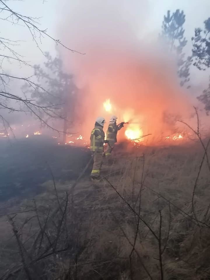 W niedzielę strażacy gasili pożar nieużytków w gminie...