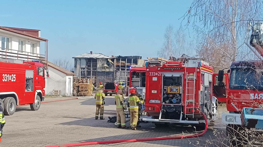 Wielki pożar hali z chemikaliami w Wierzbicy pod Radomiem. W akcji dwadzieścia zastępów straży. Jeden ze strażaków został ranny. Zdjęcia