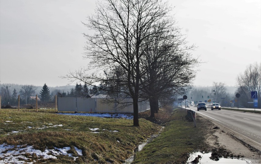 Producent wody Iwoniczanka inwestuje w Tarnobrzegu. Tak będzie wyglądać nowy budynek (WIZUALIZACJA, ZDJĘCIA) 