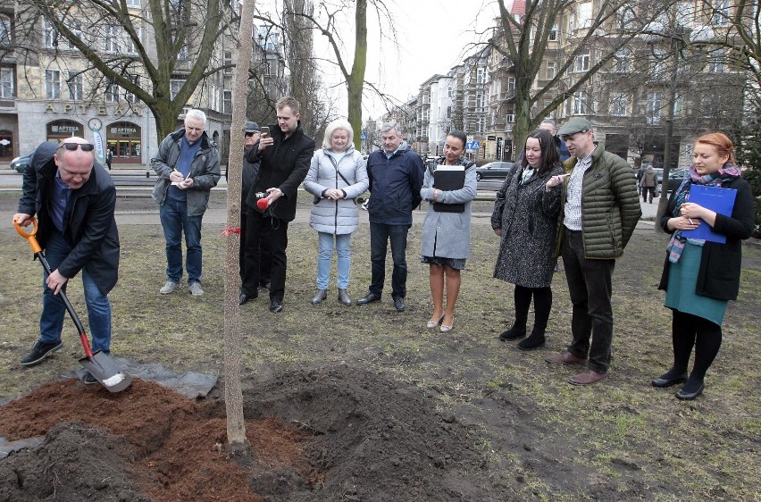 Piotr Krzystek posadził drzewo na placu Grunwaldzkim [ZDJĘCIA]