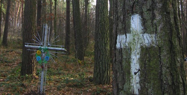 W Dębrzynie każdy czuje się nieswojo. Jedni twierdzą, że to miejsce nawiedzone przez duchy, badacze zjawisk paranormalnych, że to "tylko&#8221; zła energia.