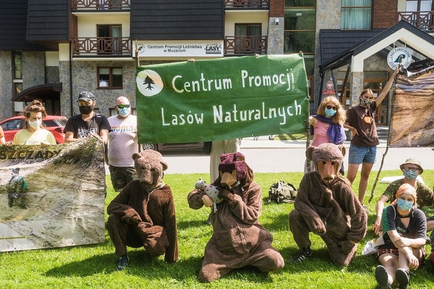 Strajk niedźwiedzi w Bieszczadach. Ekolodzy z Inicjatywy Dzikie Karpaty mają dość wyrębów w Puszczy Karpackiej