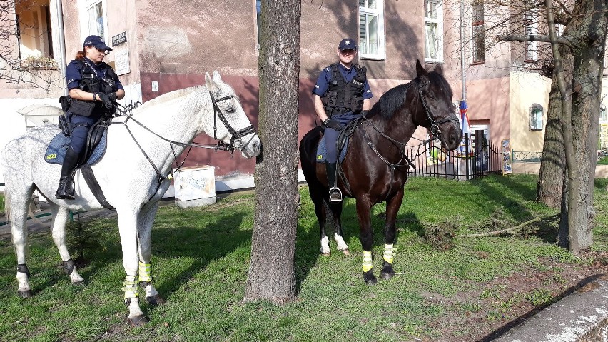 Patrole konne pojawiły się na ulicach Szczecina [ZDJĘCIA]