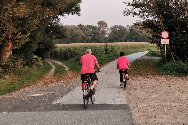 Meandry Odry świetne na rower gdy znudzą się popularne ścieżki w mieście! Zobacz zdjęcia z trasy przy granicy z Czechami.Zobacz kolejne zdjęcia. Przesuwaj zdjęcia w prawo - naciśnij strzałkę lub przycisk NASTĘPNE