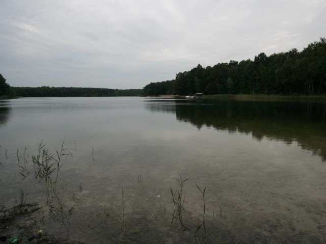 Nierzym nie jest największym z podgorzowskich jezior. Powierzchnia lustra wody wynosi zaledwie 18,76 ha.