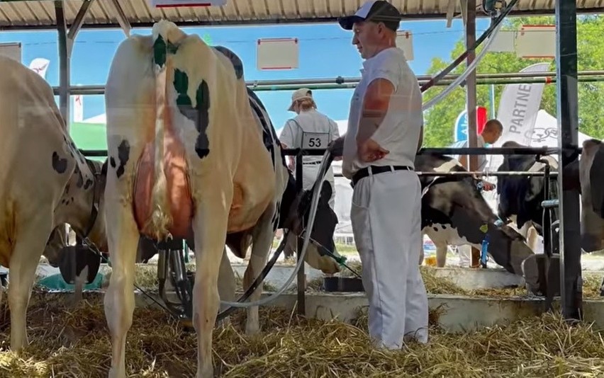 Rolnicy. Podlasie. Monika i Tomek laurów nie przywieźli, ale cenną naukę zdobyli