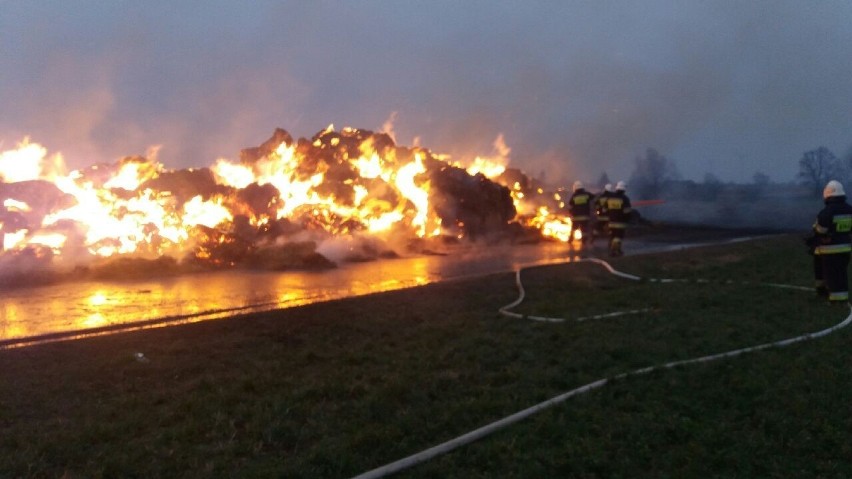 Strażacy gasili pożar 750 bali słomy w Pólku (gm. Płużnica)...