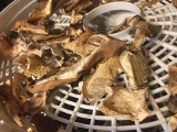 Jak dobrze suszyć grzyby i je przechowywać? Oto sprawdzone sposoby na suszenie grzybów w piekarniku, suszarce i na kaloryferze