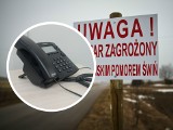 Masz pytania lub informacje dotyczące ASF - dzwoń na infolinię