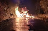 Pożar samochodu koło Rosnowa. Dwa zastępy straży pożarnej w akcji [ZDJĘCIA]