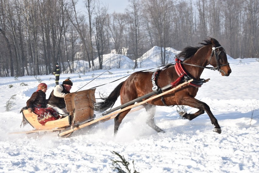 Parada Gazdowska 2019 - Biały Dunajec