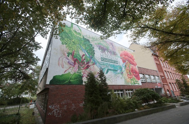 Mural na ścianie Instytutu Biologii Uniwersytetu Szczecińskiego