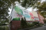 Powstał pierwszy botaniczny mural w Szczecinie. Można go zobaczyć na ścianie Instytutu Biologii Uniwersytetu Szczecińskiego [ZDJĘCIA]