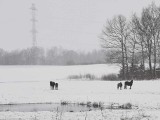 Na Kaszuby powróciła zima. Na drogach panują trudne warunki, ale widoki są piękne