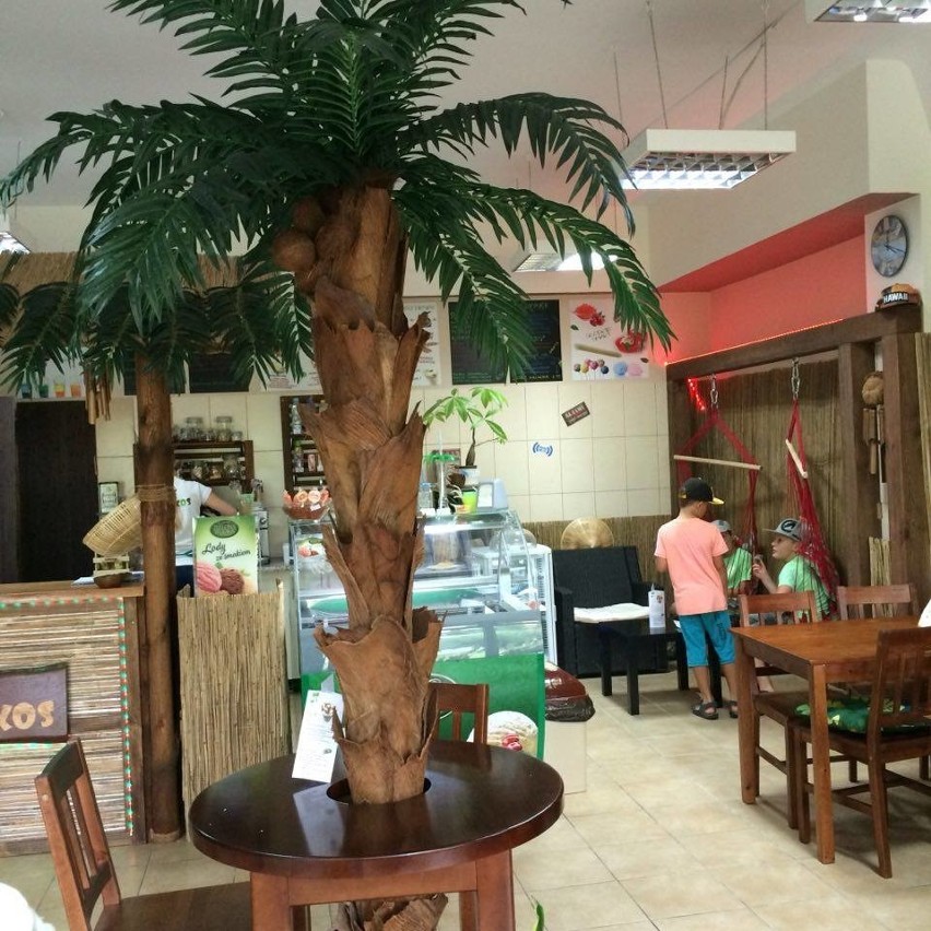 Kokos Cafe - w Busku-Zdroju działa nowa kawiarnia ze słodkościami dla alergików