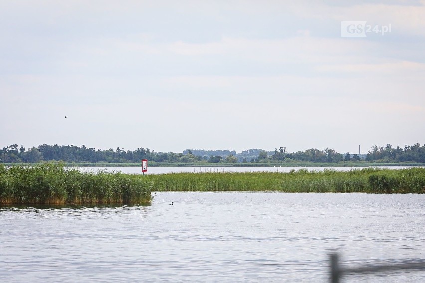 Tragiczny wypadek na jeziorze Dąbie w Szczecinie. Sternik pozostaje na wolności. Sąd nie przystał na wniosek prokuratury - 28.07.2020