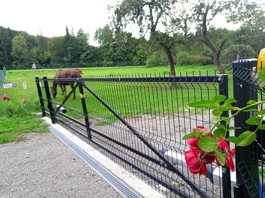 Czerwony szlak na Równicę z Ustronia - miejsce spotkań...