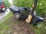 Tragedia w gminie Bałtów. BMW uderzyło w drzewo. Kierowca pijany, pasażer nie żyje